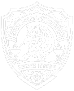 Metal Police Department